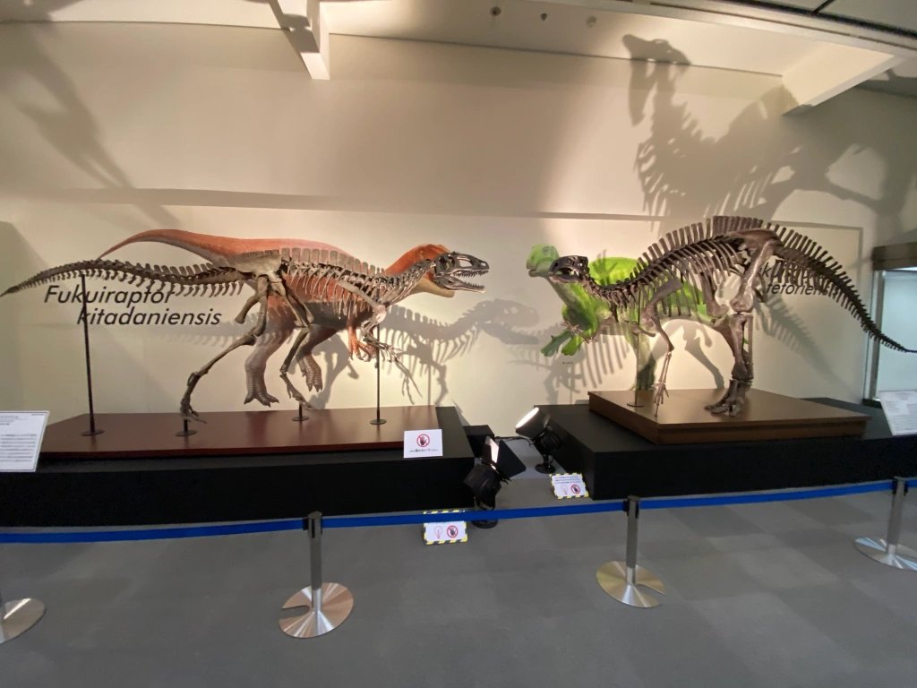 🏛️ 도쿠시마 현립 박물관 (도쿠시마 켄리츠 하쿠부츠칸)